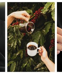 حكاية Drip Yourself.. إزاي شباب مصريين خلوا قهوة الكافيهات المميزة أقرب لكل الناس؟!