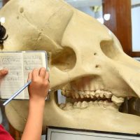 متاحف تستحق الزيارة في 2026: جواهر مخفية في قلب القاهرة