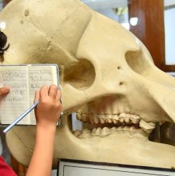 متاحف تستحق الزيارة في 2026: جواهر مخفية في قلب القاهرة