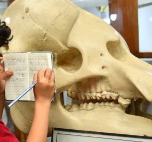 متاحف تستحق الزيارة في 2026: جواهر مخفية في قلب القاهرة متاحف تستحق الزيارة في 2026: جواهر مخفية في قلب القاهرة