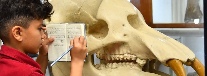 متاحف تستحق الزيارة في 2026: جواهر مخفية في قلب القاهرة