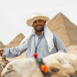 Camels and their caretaker in front of the Pyramids of Giza