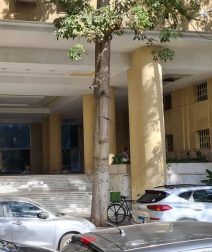 عمارة ليبون في الزمالك.. تحفة معمارية عاش فيها فاتن حمامة وفريد الأطرش ونجوم أكثر