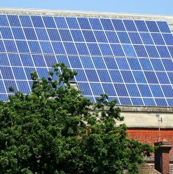 طاقة نظيفة من الشمس والمياه.. تحالف مصري يطلق مبادرة 