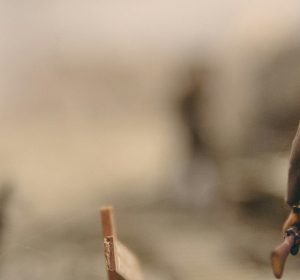 أفلام قالت لا للحرب.. 5 أعمال عالمية انتصر فيها السلام أفلام قالت لا للحرب.. 5 أعمال عالمية انتصر فيها السلام