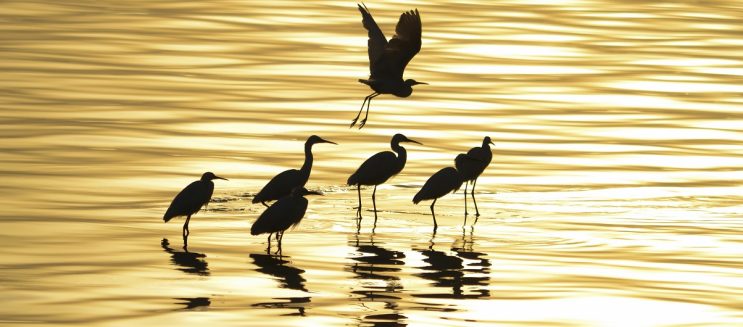 فسحة عيد الفطر 2026 في الفيوم.. دليلك لأجمل الأماكن السياحية والأنشطة وسط الطبيعة