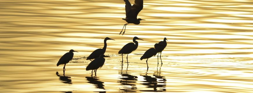 فسحة عيد الفطر 2026 في الفيوم.. دليلك لأجمل الأماكن السياحية والأنشطة وسط الطبيعة