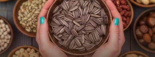 تسالي عيد الفطر 2026 في القاهرة: 5 أماكن تشتري منها مكسرات ولب وشوكولاتة ونصائح لسفرة عيد أجمل