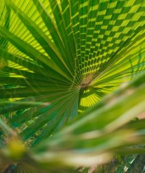 دليل كايرو360: 10 حدائق في القاهرة لفسحة العيد 2026 بأسعار تذاكر على قد الإيد