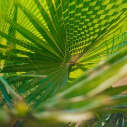 دليل كايرو360: 10 حدائق في القاهرة لفسحة العيد 2026 بأسعار تذاكر على قد الإيد