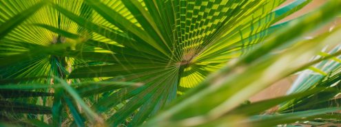 دليل كايرو360: 10 حدائق في القاهرة لفسحة العيد 2026 بأسعار تذاكر على قد الإيد