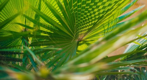 دليل كايرو360: 10 حدائق في القاهرة لفسحة العيد 2026 بأسعار تذاكر على قد الإيد