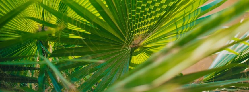 دليل كايرو360: 10 حدائق في القاهرة لفسحة العيد 2026 بأسعار تذاكر على قد الإيد