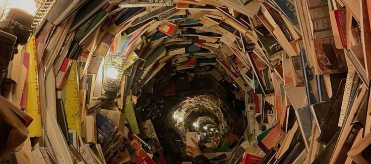 Books That Support Mental Health During Times of Conflict