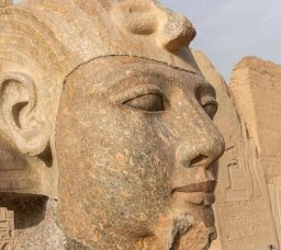 عودة ملامح رمسيس الثاني.. ترميم رأس تمثال الملك في أبيدوس بعد سنوات من الاكتشاف