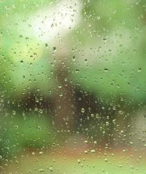 الجو قلب فجأة؟ دليلك الكامل لحماية نفسك وأسرتك من تقلبات الطقس في مصر