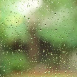 الجو قلب فجأة؟ دليلك الكامل لحماية نفسك وأسرتك من تقلبات الطقس في مصر