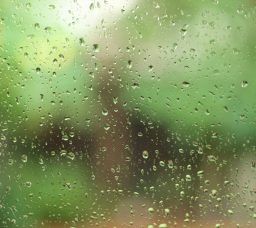 الجو قلب فجأة؟ دليلك الكامل لحماية نفسك وأسرتك من تقلبات الطقس في مصر