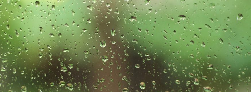 الجو قلب فجأة؟ دليلك الكامل لحماية نفسك وأسرتك من تقلبات الطقس في مصر