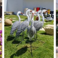 معرض زهور الربيع 2026 في المتحف الزراعي.. أحلى فسحة خضرا في قلب الدقي