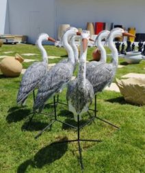 معرض زهور الربيع 2026 في المتحف الزراعي.. أحلى فسحة خضرا في قلب الدقي