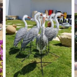 معرض زهور الربيع 2026 في المتحف الزراعي.. أحلى فسحة خضرا في قلب الدقي