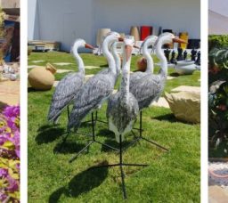 معرض زهور الربيع 2026 في المتحف الزراعي.. أحلى فسحة خضرا في قلب الدقي