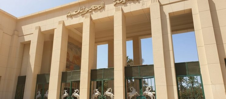 حقيقة افتتاح حديقة الحيوان بالجيزة في شم النسيم 2026.. هل هتفتح ولا لسه؟
