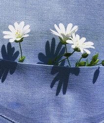 أحلى خروجة في شم النسيم 2026: لفة وسط الورد في معرض زهور الربيع بالدقي