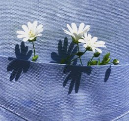 أحلى خروجة في شم النسيم 2026: لفة وسط الورد في معرض زهور الربيع بالدقي