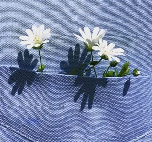 أحلى خروجة في شم النسيم 2026: لفة وسط الورد في معرض زهور الربيع بالدقي