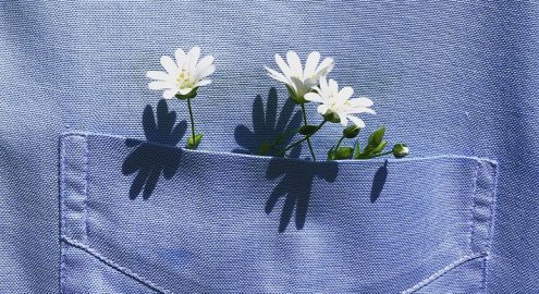 أحلى خروجة في شم النسيم 2026: لفة وسط الورد في معرض زهور الربيع بالدقي