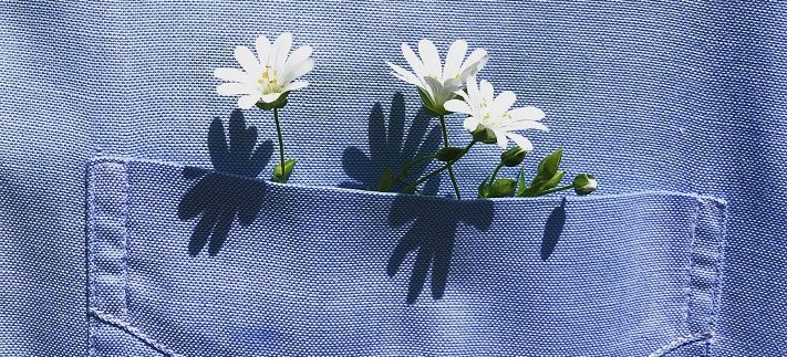 أحلى خروجة في شم النسيم 2026: لفة وسط الورد في معرض زهور الربيع بالدقي