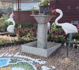 معرض زهور الربيع 2026 في القاهرة: دليلك الكامل للأسعار والمواعيد وأفضل أماكن الشراء