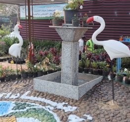 معرض زهور الربيع 2026 في القاهرة: دليلك الكامل للأسعار والمواعيد وأفضل أماكن الشراء