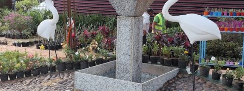 معرض زهور الربيع 2026 في القاهرة: دليلك الكامل للأسعار والمواعيد وأفضل أماكن الشراء