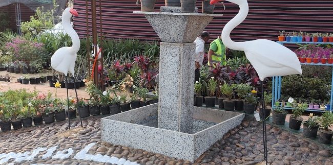 معرض زهور الربيع 2026 في القاهرة: دليلك الكامل للأسعار والمواعيد وأفضل أماكن الشراء