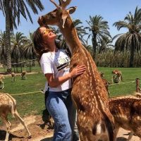 Day Use Escapes Near Cairo for a Quick Reset