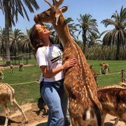 Day Use Escapes Near Cairo for a Quick Reset