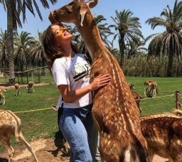 Day Use Escapes Near Cairo for a Quick Reset