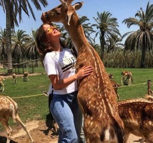 Day Use Escapes Near Cairo for a Quick Reset