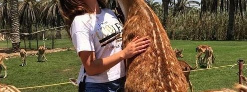 Day Use Escapes Near Cairo for a Quick Reset