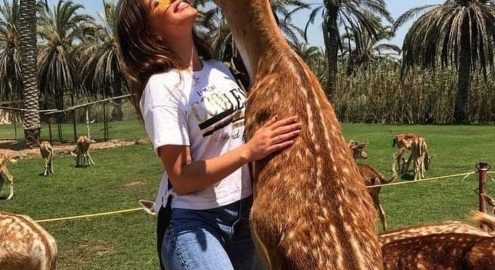 Day Use Escapes Near Cairo for a Quick Reset