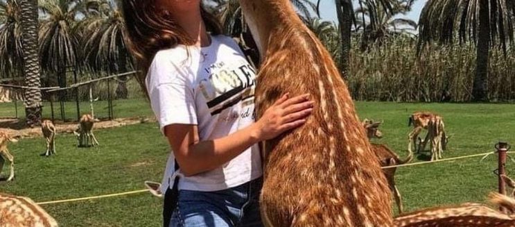 Day Use Escapes Near Cairo for a Quick Reset