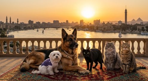 أغنى 5 حيوانات في العالم.. تخيل لو زاروا القاهرة في يوم!