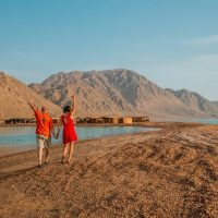 العريش في 2026.. دليل أجمل شواطئ وأنشطة شمال سيناء لصيف هادي بعيد عن زحمة القاهرة