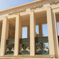 ليه المصريين بيعشقوا “جنينة الحيوانات”؟ حكاية مكان عاش جوه ذاكرة القاهرة لأكتر من 100 سنة