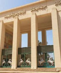 ليه المصريين بيعشقوا “جنينة الحيوانات”؟ حكاية مكان عاش جوه ذاكرة القاهرة لأكتر من 100 سنة