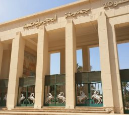 ليه المصريين بيعشقوا “جنينة الحيوانات”؟ حكاية مكان عاش جوه ذاكرة القاهرة لأكتر من 100 سنة