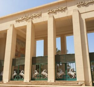 ليه المصريين بيعشقوا “جنينة الحيوانات”؟ حكاية مكان عاش جوه ذاكرة القاهرة لأكتر من 100 سنة